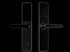 青松沃德-Wi-Fi 指紋鎖家用防盜門智能門鎖密碼鎖刷卡電子鎖 防磁干擾 防撬 L9-WT (不含鎖體，鎖體需另購(gòu)）